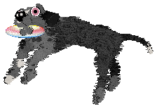 Poppyhill's Cloudy Sake — “Nara”