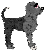 Poppyhill's Cloudy Sake — “Nara”