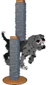 Poppyhill's Cloudy Sake — “Nara”