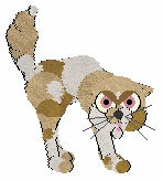 Daisychain's Pretty Perturbed — “Drusilla”