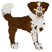 Cargo/King's Cowboy Games — “Red”