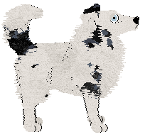 Cirrutopia/King's Deaf Dumb Blind Kid — “Doubletake”