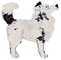 Cirrutopia/King's Deaf Dumb Blind Kid — “Doubletake”