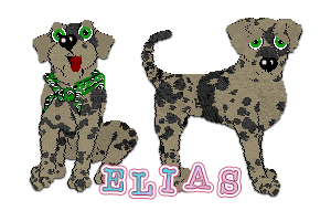 Profile image of Amenity's A World of Dew