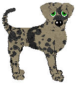 Amenity's A World of Dew — “Elias”