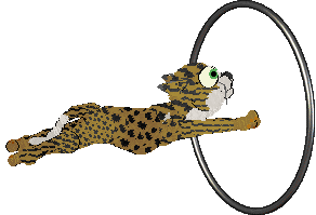 EC's Pool of Ghee at Perfume — “Frisco”