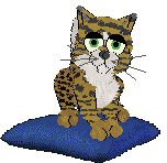 EC's Pool of Ghee at Perfume — “Frisco”