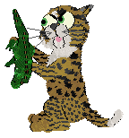 EC's Pool of Ghee at Perfume — “Frisco”