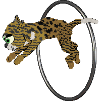 EC's Pool of Ghee at Perfume — “Frisco”