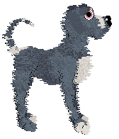 Profile image of Cirrutopia/Mockingbird's Open The Jar