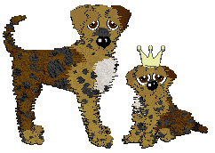 Profile image of Poppyhill's Three Poets at Minase