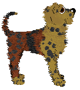 Poppyhill/Amenity's Myriad Leaves — “Tanka”