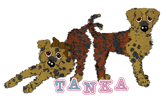 Profile image of Poppyhill/Amenity's Myriad Leaves