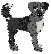 Poppyhill's Westlin Winds at Wild Road — “Stirling”