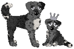 Profile image of Poppyhill's Westlin Winds at Wild Road