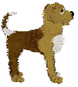 Poppyhill/Amphigory’s On the Bonnie Banks — “Bonnie”