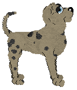 Ephemera Stop Whispering — “Snoozy”