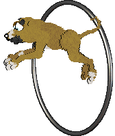 FH/King's Sinister Frenchman — “Francois”