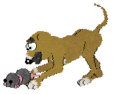 FH/King's Sinister Frenchman — “Francois”