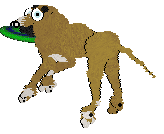 FH/King's Sinister Frenchman — “Francois”