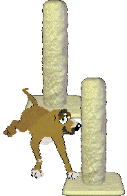 FH/King's Sinister Frenchman — “Francois”