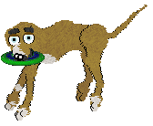 FH/King's Sinister Frenchman — “Francois”