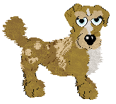 Funfetti/Sz's A Staple at Sunday Dinner — “Figgy Duff”