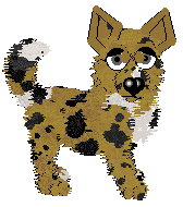 Lex/Mockingbird's Coleman Cardboard — “Berth”