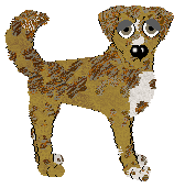 NSP's Bright Heritage at Wild Road — “Aleina”