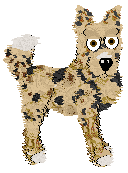 King's Barracuda at Wild Road — “Barra”