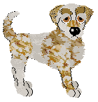 Aida's Raining Dollars at Wild Road — “Dollar”