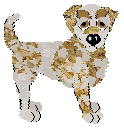 Profile image of Aida's Raining Dollars at Wild Road