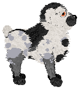 Amenity's Santa Paws at Wild Road — “Claus”