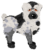 Profile image of Amenity's Santa Paws at Wild Road