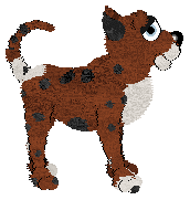 Profile image of Xoops' When In Bloom at Wild Road