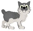 Tea's Pteranodon at Wild Road — “Rodan”