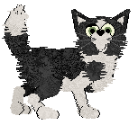 Minibyte's Wet Noodles at Mythic Silence — “Katrina”