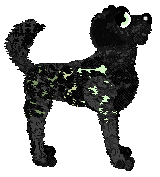 Heirloom's Thank You for the Venom — “Venom”