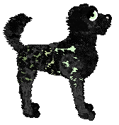 Heirloom's Thank You for the Venom — “Venom”