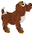 Kizmet/FK’s Fire in the Frost — “Snowcinder”