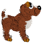 Kizmet/FK’s Fire in the Frost — “Snowcinder”