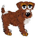 Kizmet/FK’s Fire in the Frost — “Snowcinder”