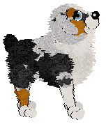 Cargo/FK’s Sunstruck Surf — “Bondi”