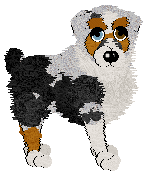 Cargo/FK’s Sunstruck Surf — “Bondi”