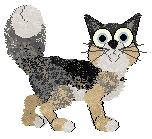 Calluna/Alohomora’s Canes Venatici at FK — “Chara”