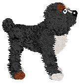 EC/FK’s Where the Wind Wanders — “Cloudy”