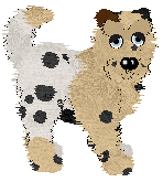 EC/FK's Summer Solstice Margarita — “Solstice”