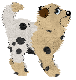 EC/FK's Summer Solstice Margarita — “Solstice”