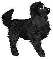 HK/FK's A Shield For Peace — “Pax”