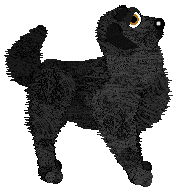 HK/FK's A Shield For Peace — “Pax”